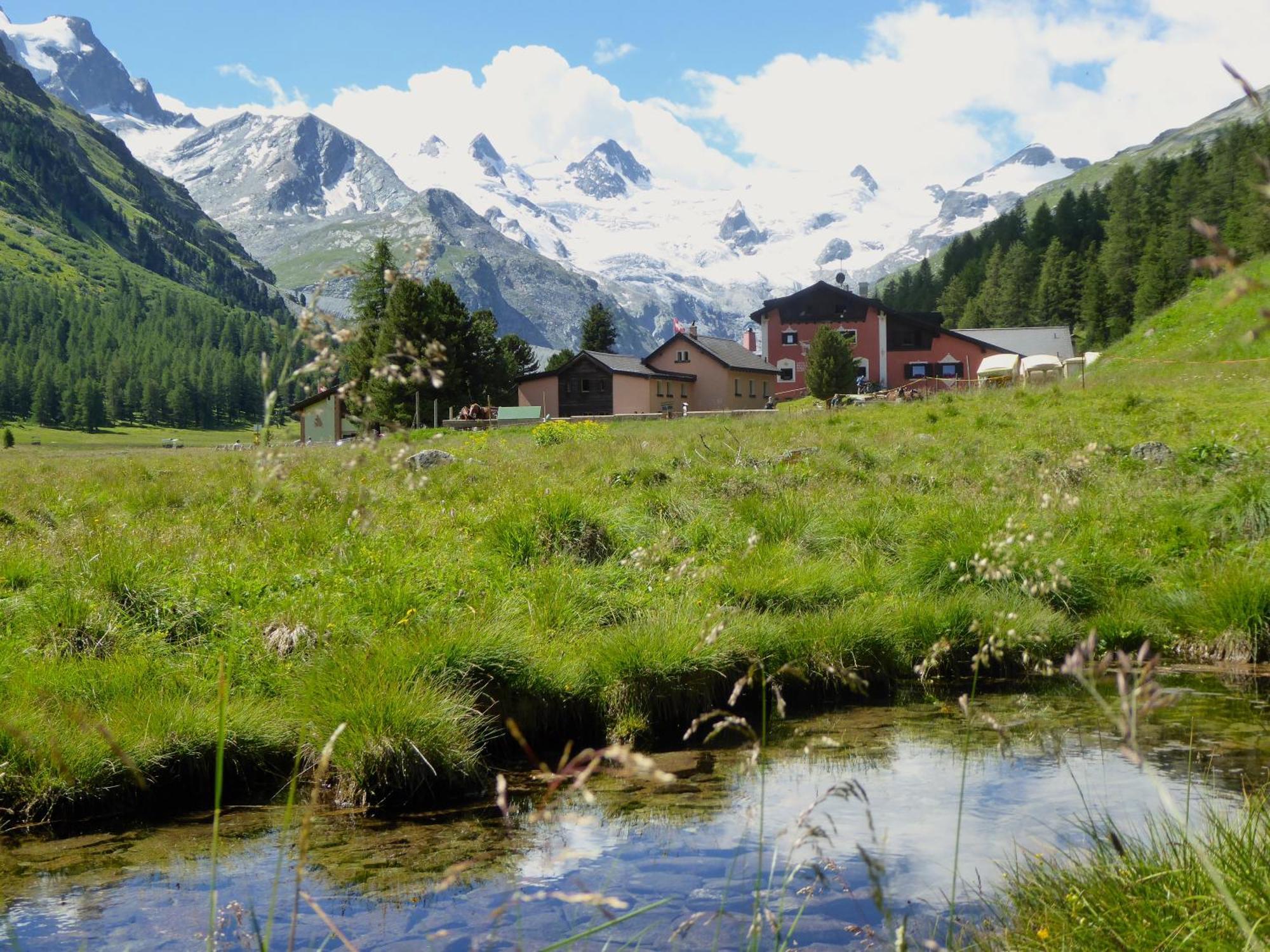 Hotel Roseg-Gletscher Pontresina Bagian luar foto