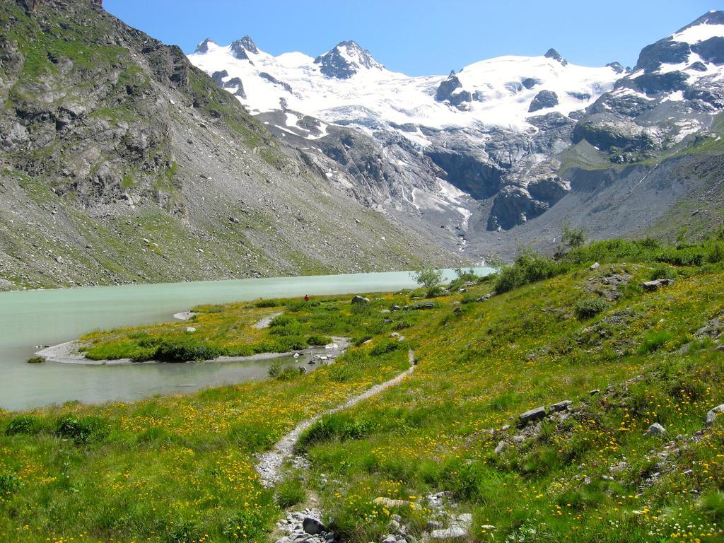 Hotel Roseg-Gletscher Pontresina Bagian luar foto