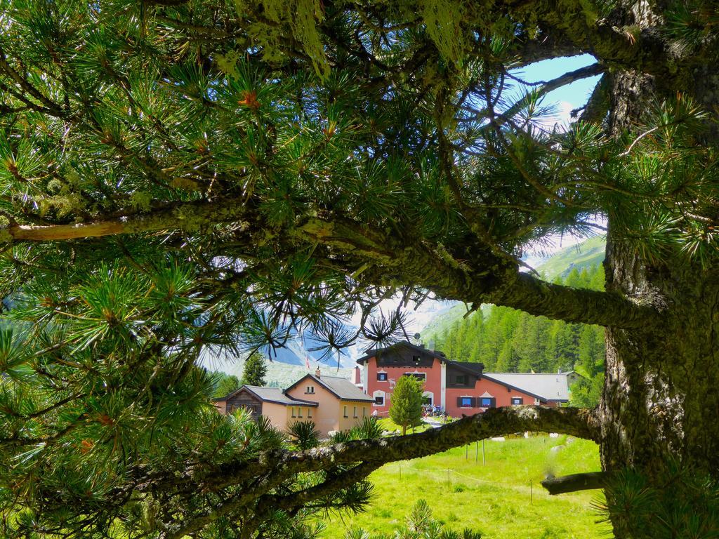 Hotel Roseg-Gletscher Pontresina Bagian luar foto